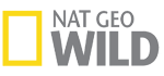 Ostry dyżur dla zwierząt Nat Geo Wild
